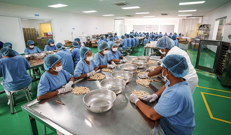 Cashew exports surpass $700M in H1